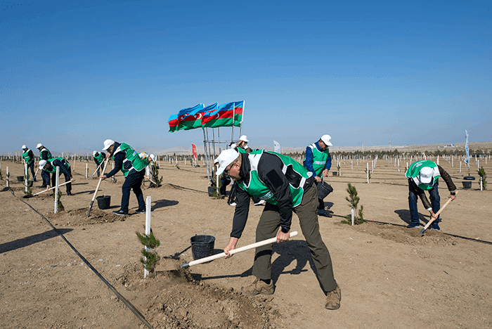 “Azpetrol” arranges for a tree planting campaign